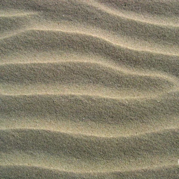 Shapes and lines in the sand