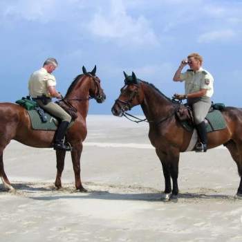 Borkum beach police with their horses