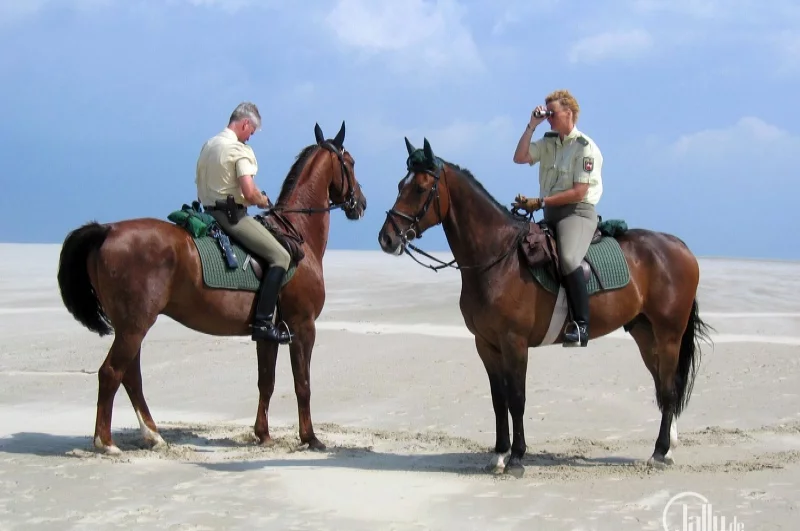Borkum beach police with their horses
