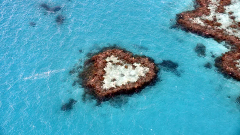 Heart-shaped reef at Great Barrier Reef