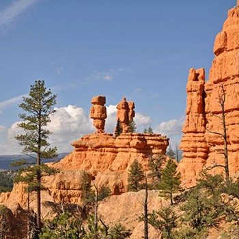 Red Canyon National Forest USA