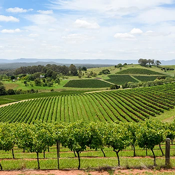 Video Hunter Valley bis Port McQuarie