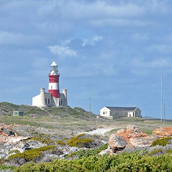 South Africa travel Cape Agulhas and Hermanus