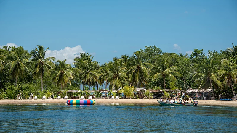 Dream Beach in the Caribbean