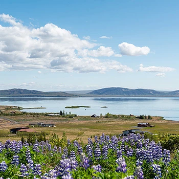 View of the lake in Thingvellir National Park