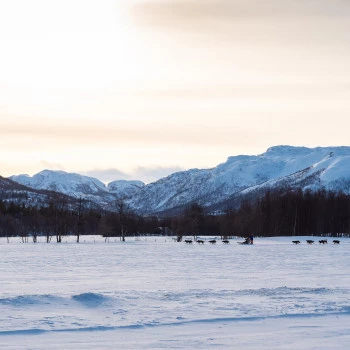 Snowy landscape in Norway with dog sleds