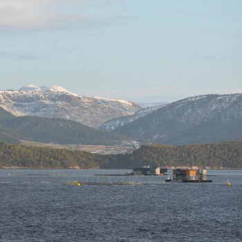 Floating fish farms in Norway