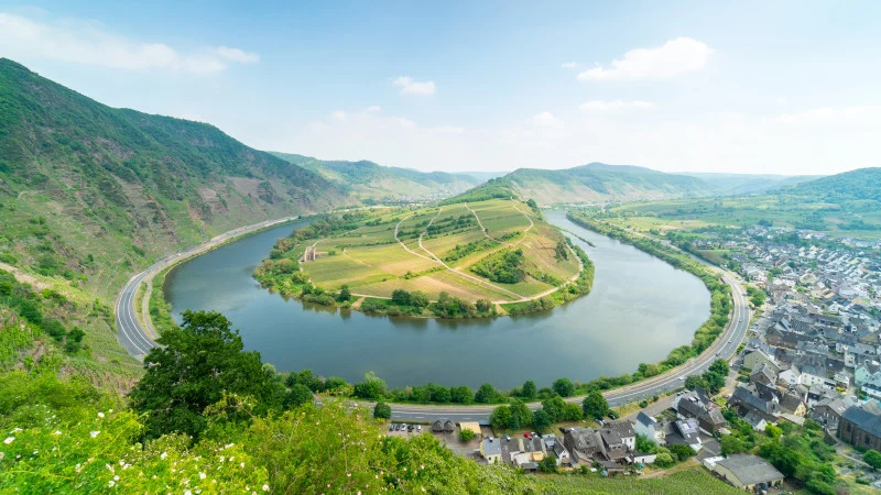 Wallpaper from the Moselle loop near Bremm Wallpaper from the Moselle loop near Bremm