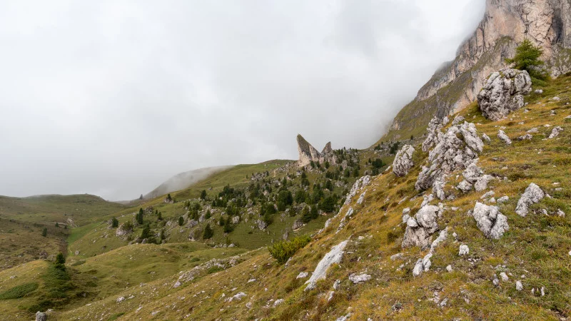 Pieralongia Hut