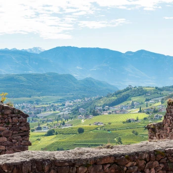 View from Boymont Castle