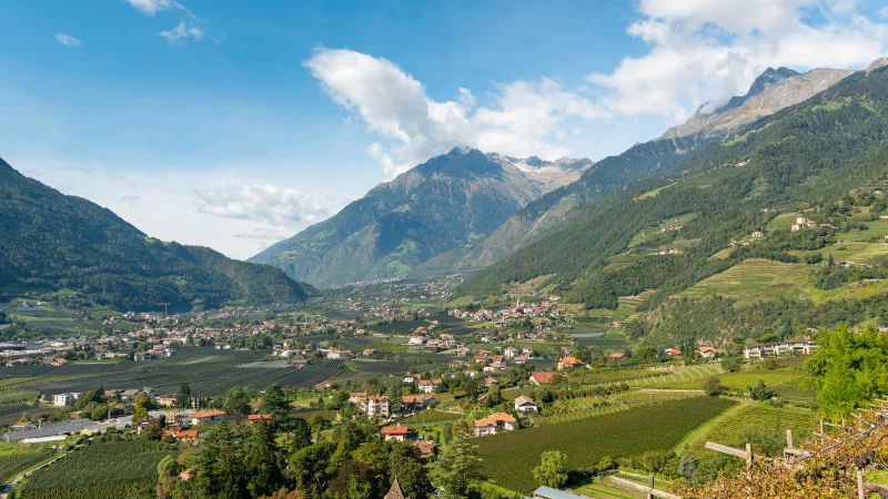 Ausblick auf Algund und die Gfallwand