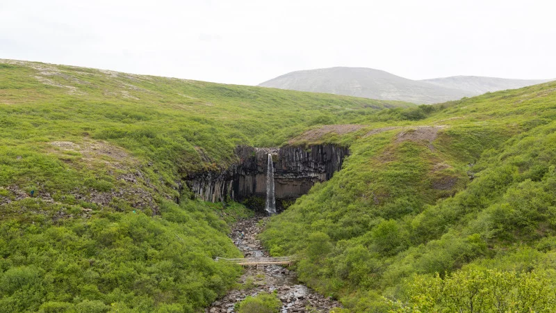 Landschaft am Svartifoss Wasserfall in Island