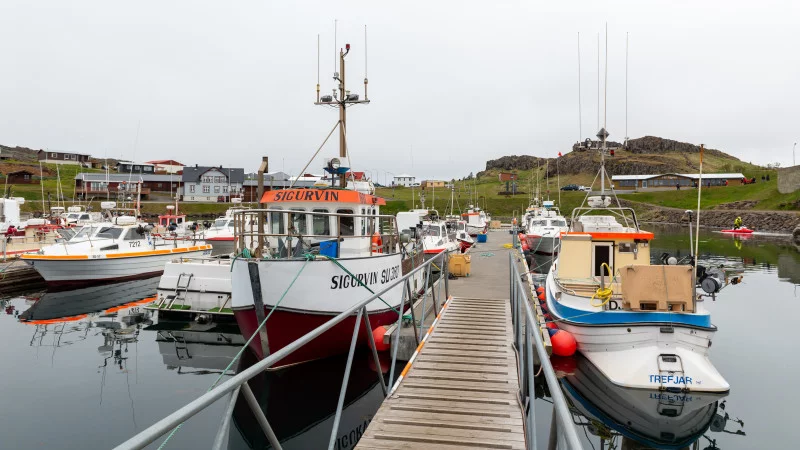 Djupivogur Hafen in Island