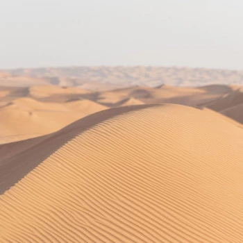 Dünenkamm in der Wüste