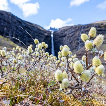 Wallpaper Floegufoss waterfall