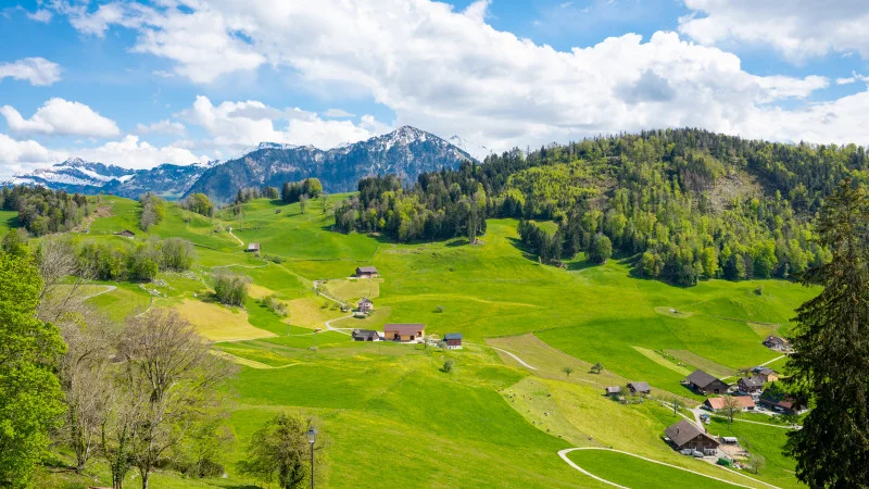 Schweizer Almen und Berge