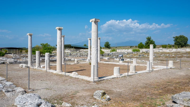 Ancient columns in the Pella Archeological Park