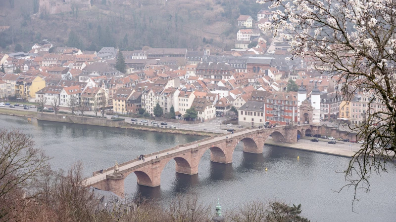 Blick auf die alte Brücke bei Heidelberg