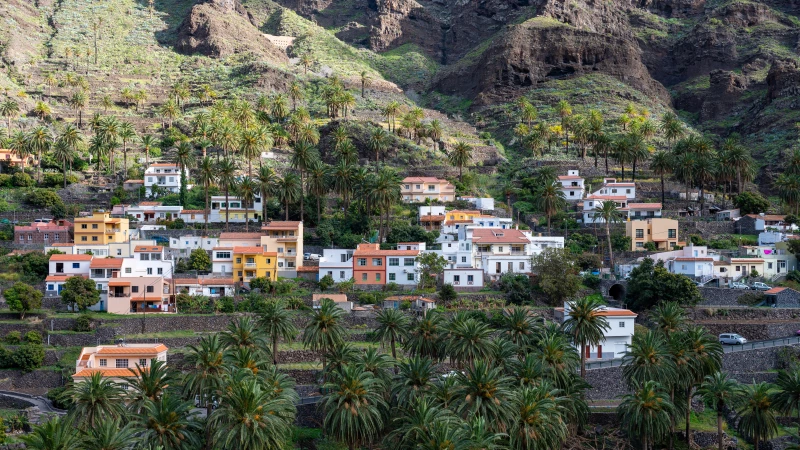 Houses and green terraces in Valle Gran Rey