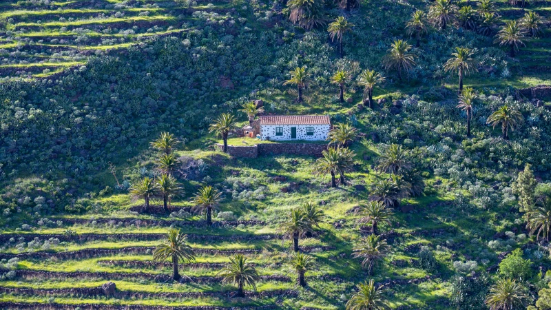 House in the nature