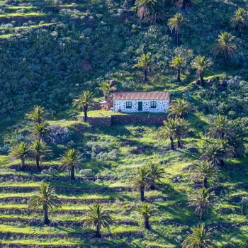 House in the nature