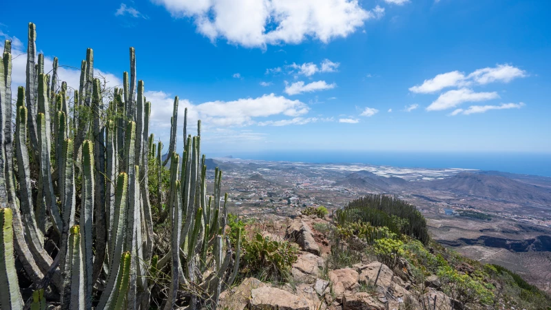 Ausblick vom Roque del Conde