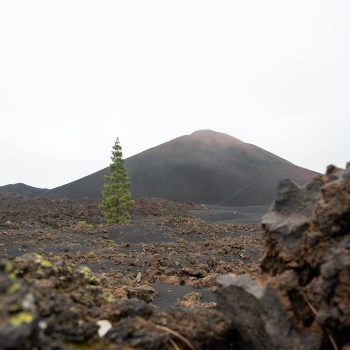 Chinyero volcano