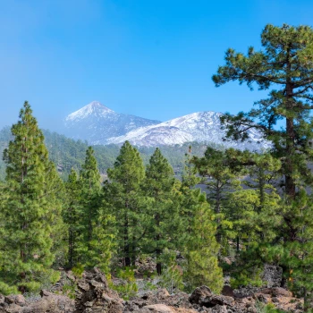 Teide mit Schnee auf Teneriffa