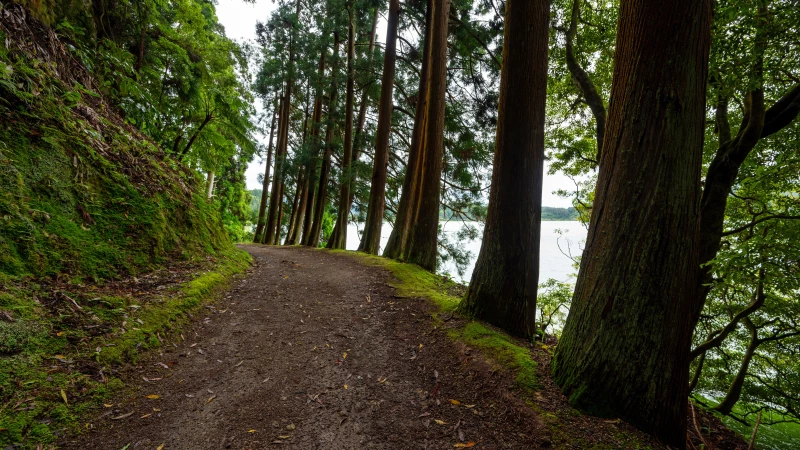 Hiking trail at Lagoa das Furnas