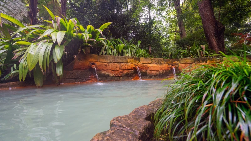 Kleiner Thermalpool im Terra-Nostra-Park Kleiner Thermalpool im Terra-Nostra-Park