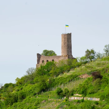 Hike at Strahlenburg Schriesheim