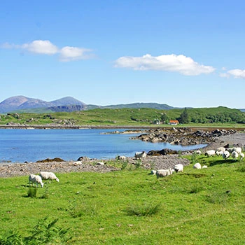 Schottland Rundreise - Isle of Skye