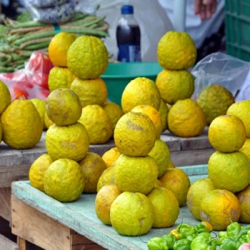 Fresh yellow guava fruits