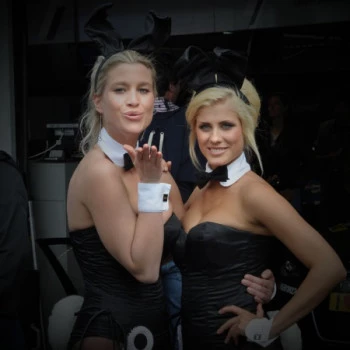 Bunnys bei der DTM