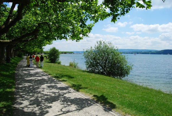 Bild  / 64