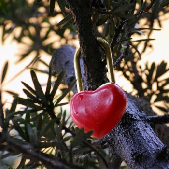 Love locks for hearts in love