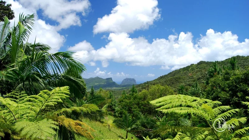 The green mountains of Mauritius The green mountains of Mauritius