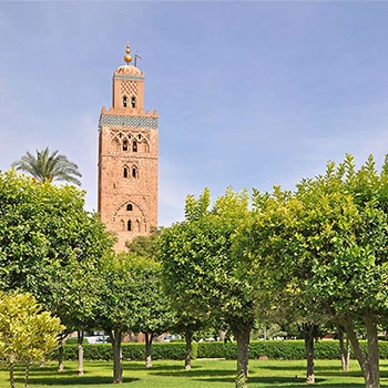 Koutoubia Mosque in Marrakech